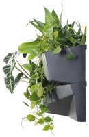 Prosperplast Cascade Vertical Garden Wall - 190mm (L) x 780mm W) and 350mm (H)