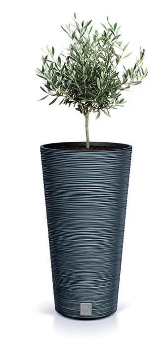 Prosperplast Furu Slim Line Round Flowerpot - 300mm (w) x 575mm (h)