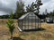 Winter Gardenz Greenhouse 10x12 (3220mm x 3844mm x 2850mm) - Polycarbonate