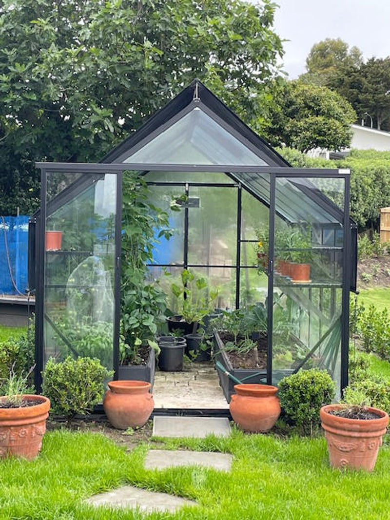 Winter Gardenz Greenhouse 8x10 (2596mm x 3220mm x 2615mm) - Toughened Glass