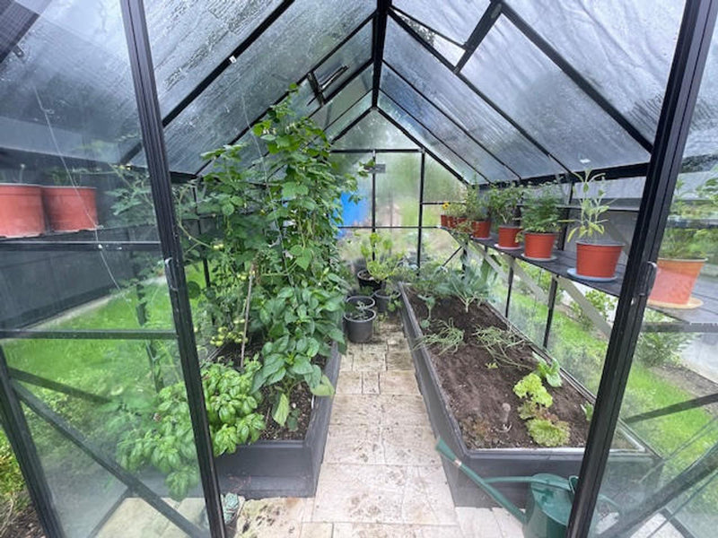 Winter Gardenz Greenhouse 8x10 (2596mm x 3220mm x 2615mm) - Toughened Glass